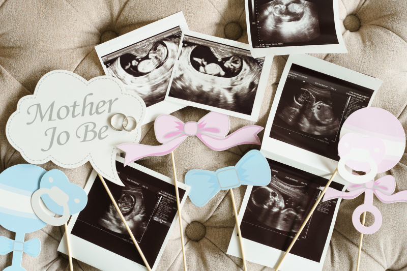 あたらしいいのち