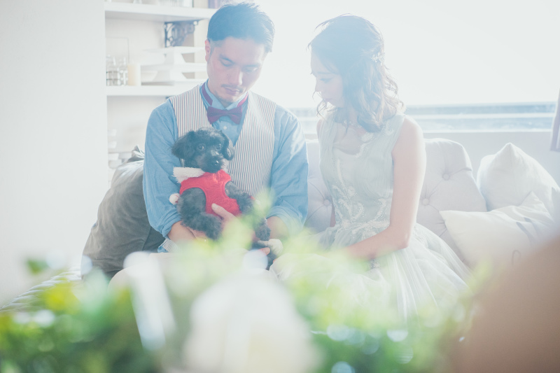 わんちゃんもお洋服を着て♡