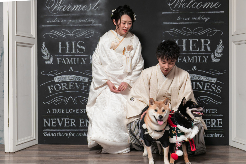 ワンちゃんもおめかし