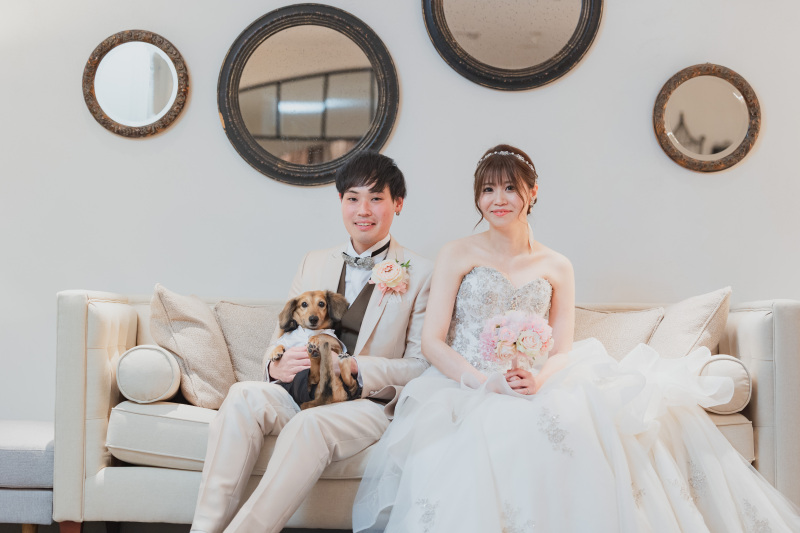 ワンちゃんと一緒に洋装館内シークレットプラン　　