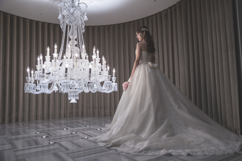 バックショット＊