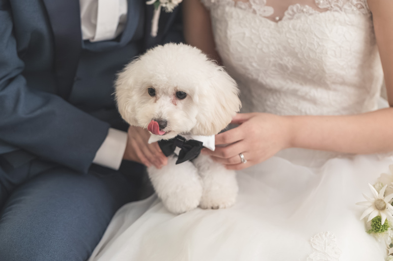 小さなご家族もご一緒に