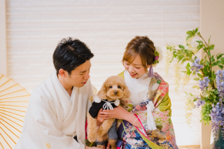 わんちゃんと一緒に！館内和装プラン