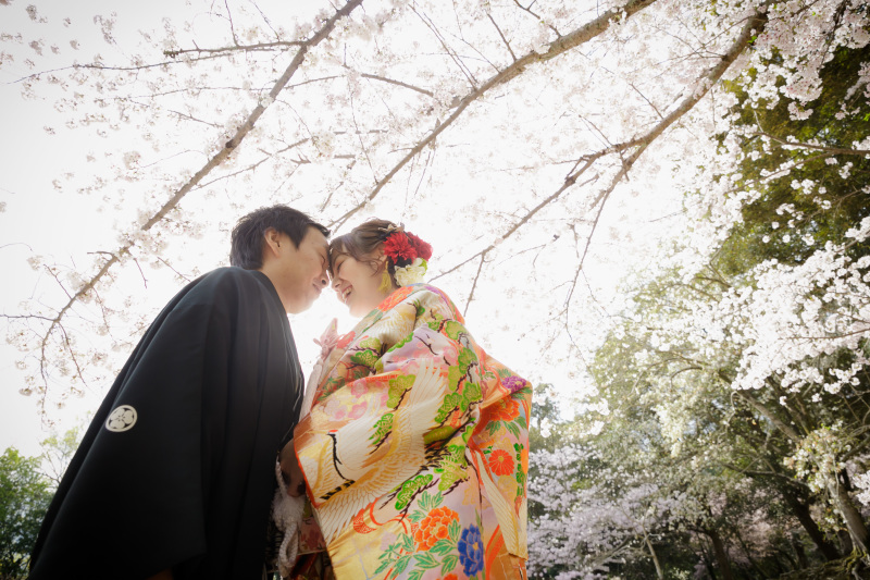 下からのアングルで