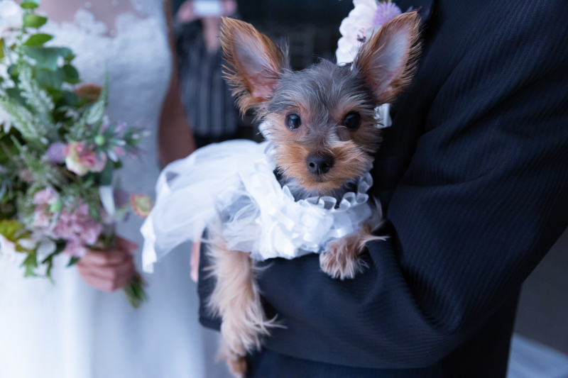 カメラ目線いただきました！