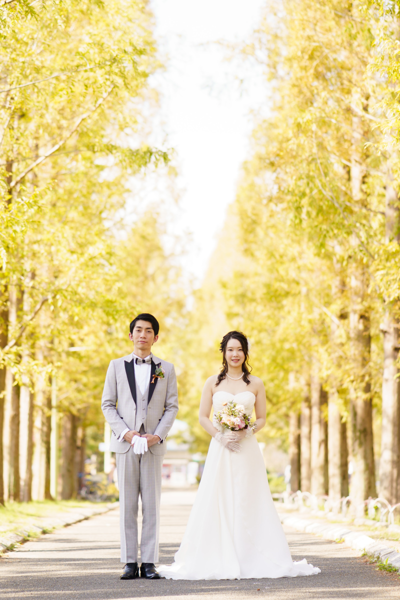 鮮やかな並木道