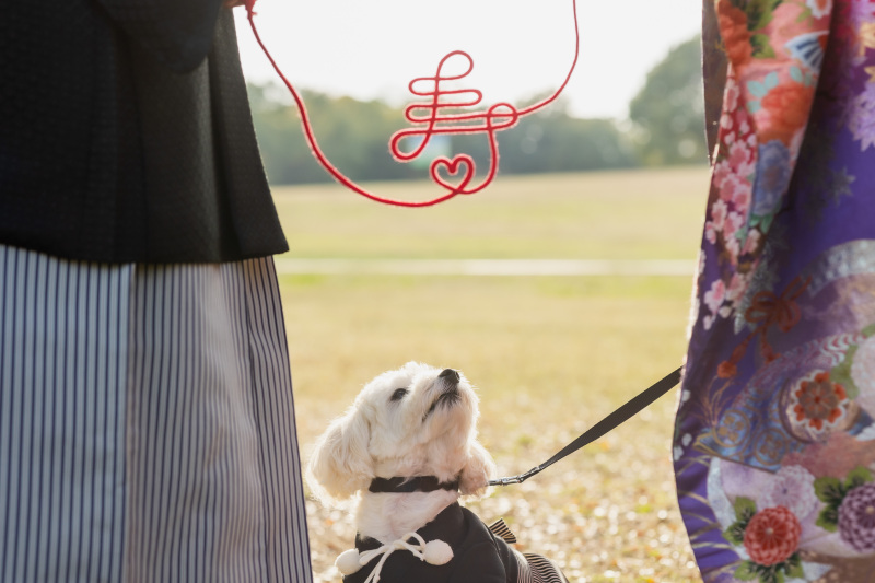日本庭園を出て、外の公園で愛犬と