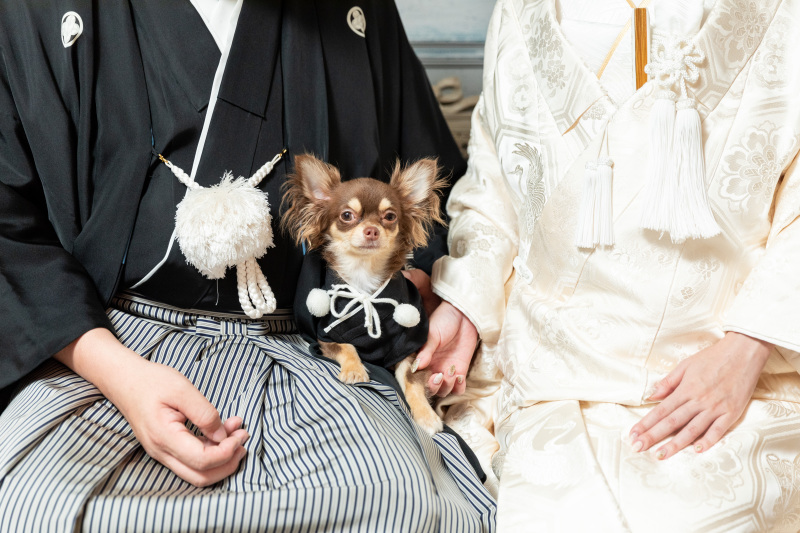 お揃いの紋付袴でオシャレに！