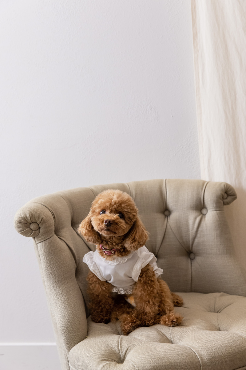 かわいいお洋服を着て♡