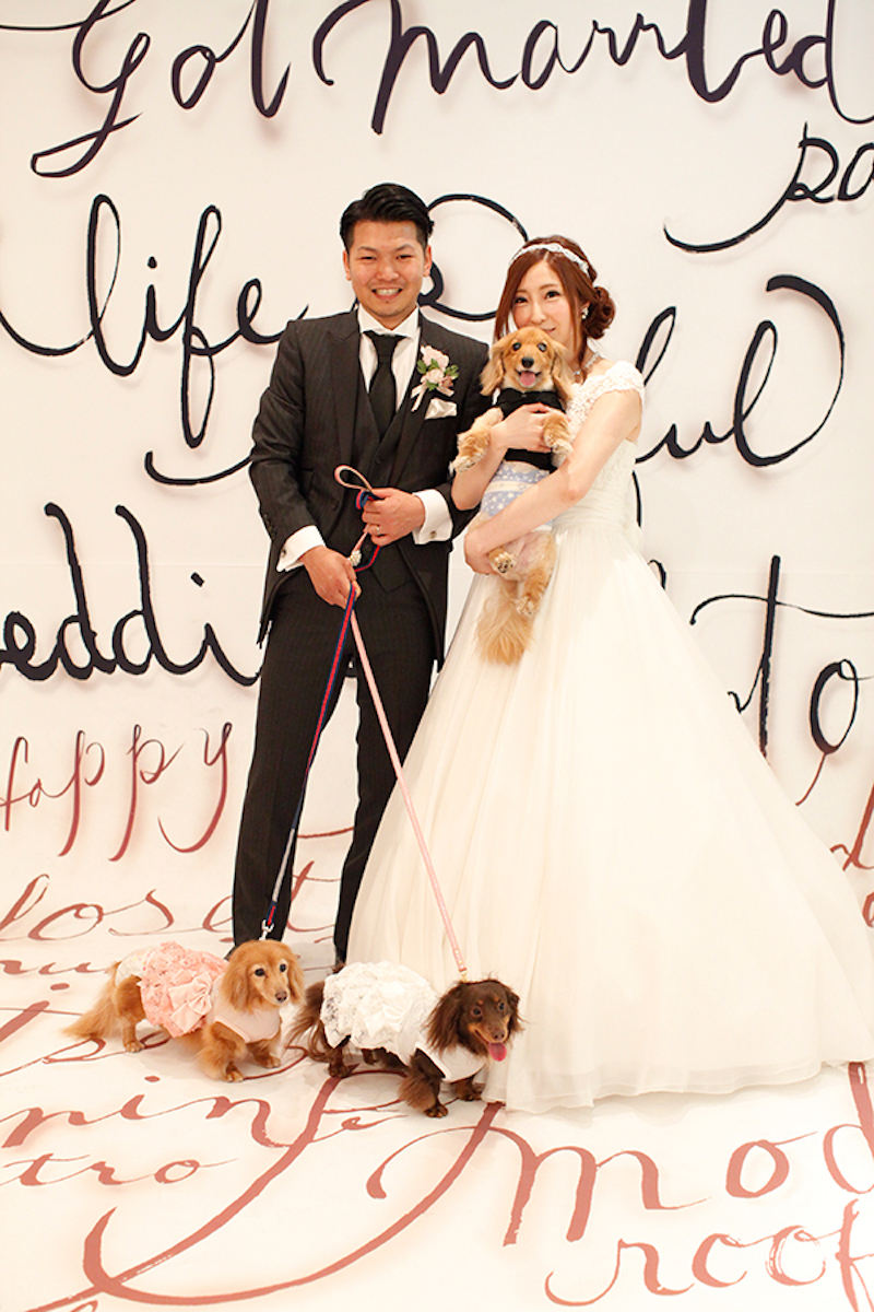 ３匹の愛犬と一緒に( ＾∀＾)