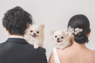 愛犬と♡和・洋2着プラン！