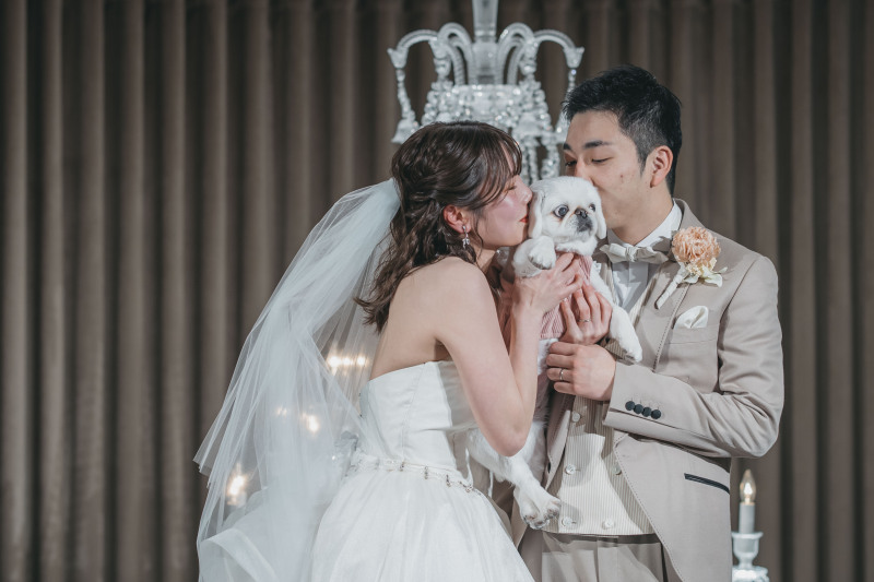 ワンちゃんと一緒に＊2着プラン