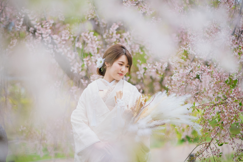 桜ロケーションプラン