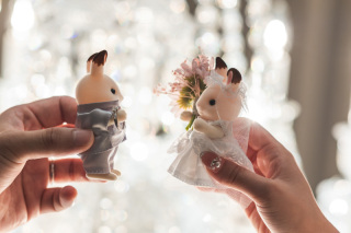 シルバニアファミリーと一緒に　