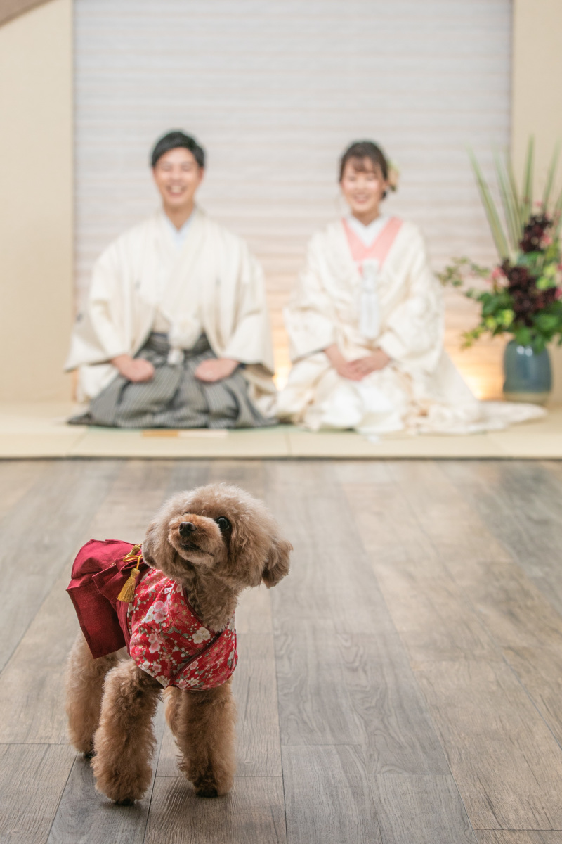 くぎづけショット!