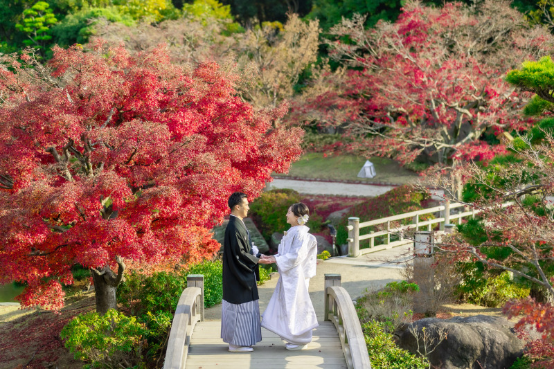 光と景色に溶けるおふたり