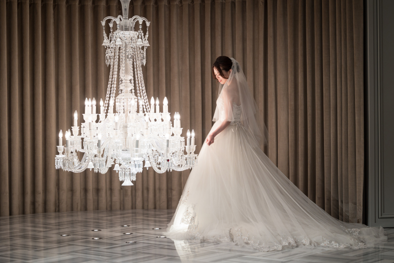 バックショット