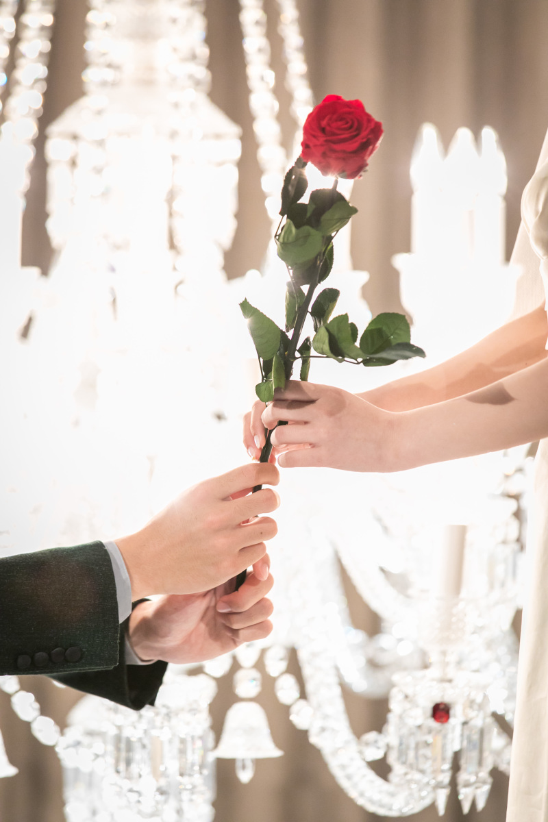 イメージカット