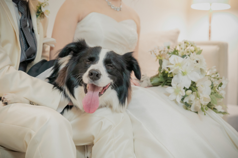 わんちゃんもにっこり笑顔♪