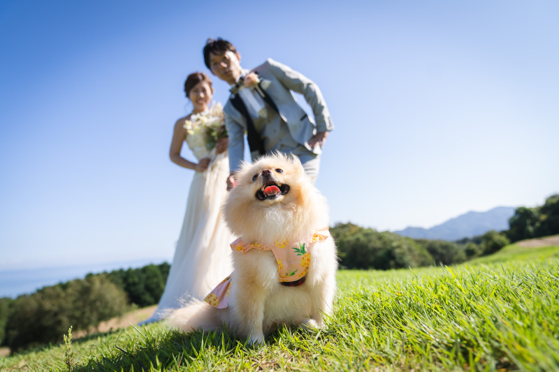 わんちゃんも一緒に♡