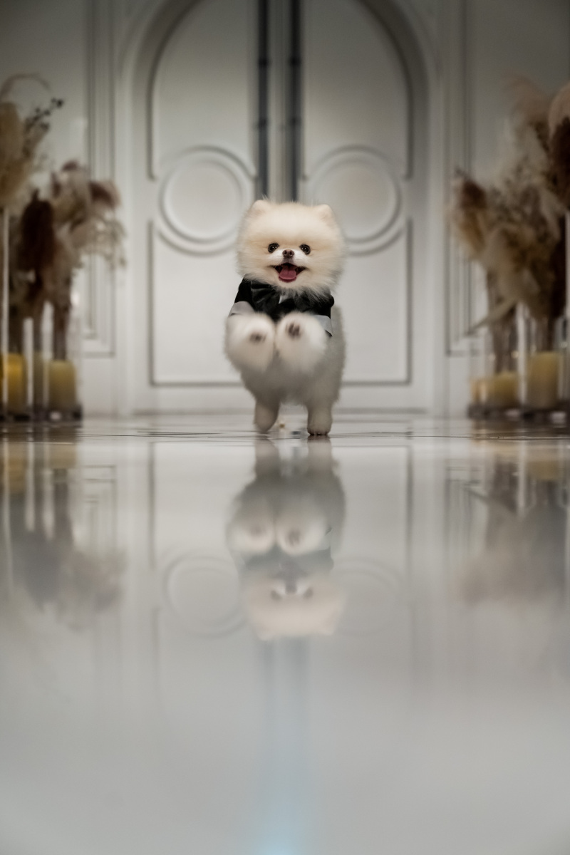 お二人目指して全速力！