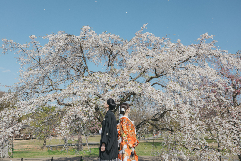 桜の木の下で✻