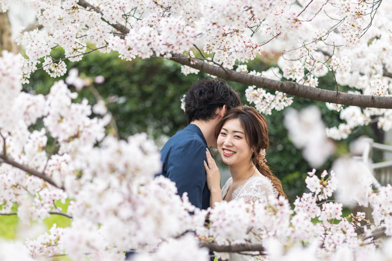 春満開!!さくらロケーション