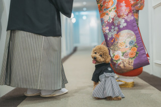 ワンちゃんと一緒に。◯豪華に3着　