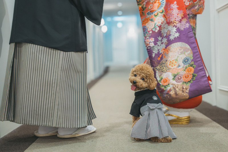 ワンちゃんと一緒に。◯豪華に3着　