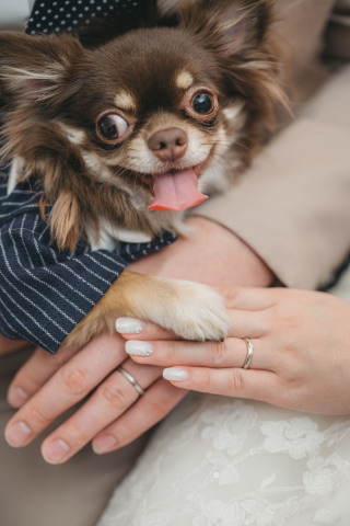 愛犬と家族と一生モノのフォトウェディング！
