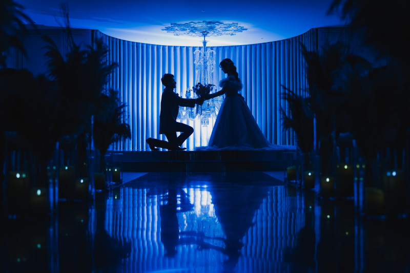 シルエットショット