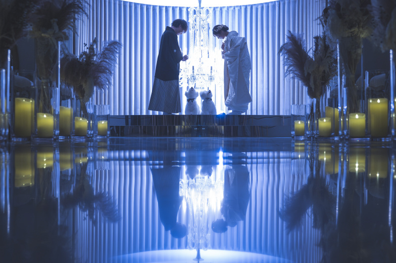 シルエットカットで神秘的に