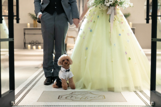 ワンちゃんと一緒に♡洋装2点撮影