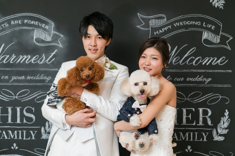 だいすきなわんちゃんと一緒に