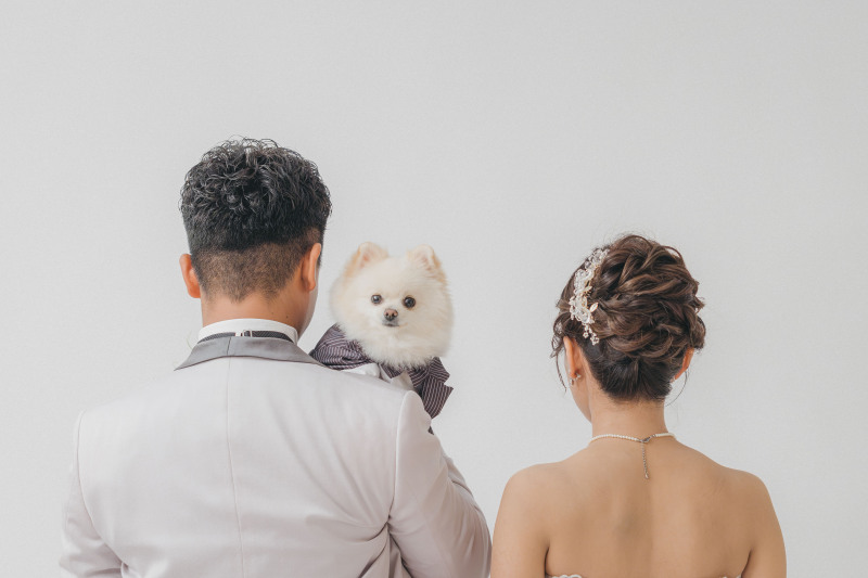 しっかりカメラ目線で✦