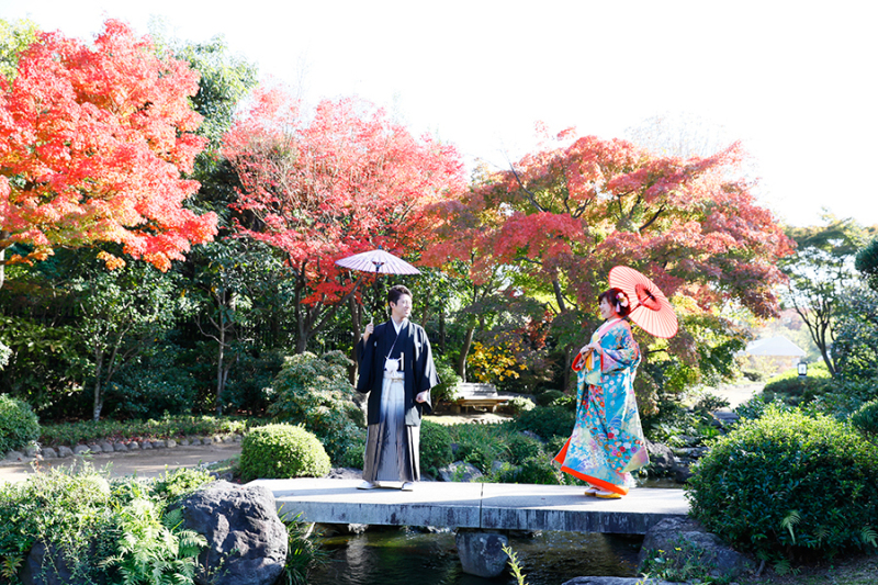 人気の紅葉ロケーションフォト