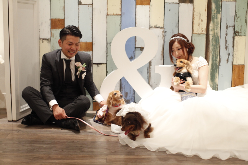 ペットと一緒に！！