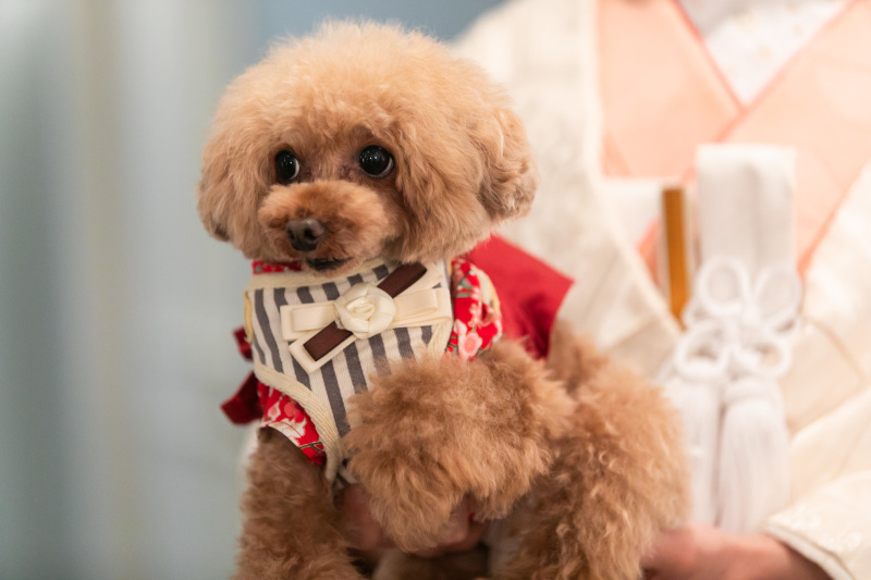 少し緊張気味!?