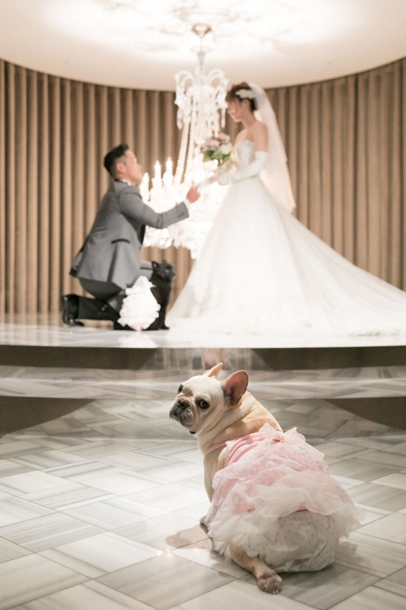 プロポーズショット