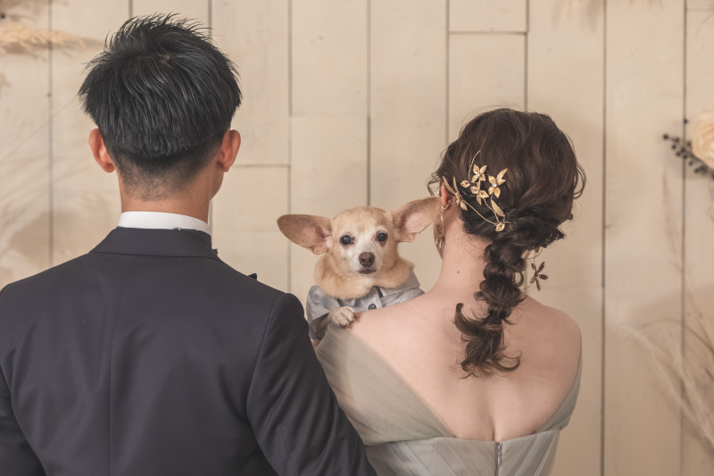 愛犬ちゃんもおめかし✦