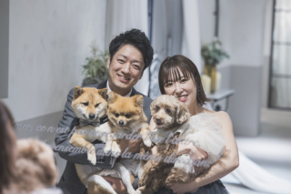 3びきのワンちゃんと♡館内洋装