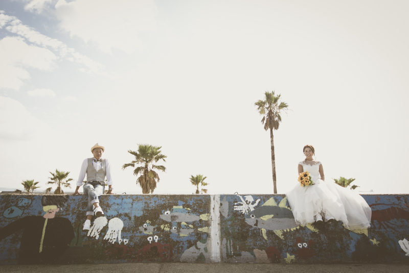 鮮やかな壁でお座りショット!