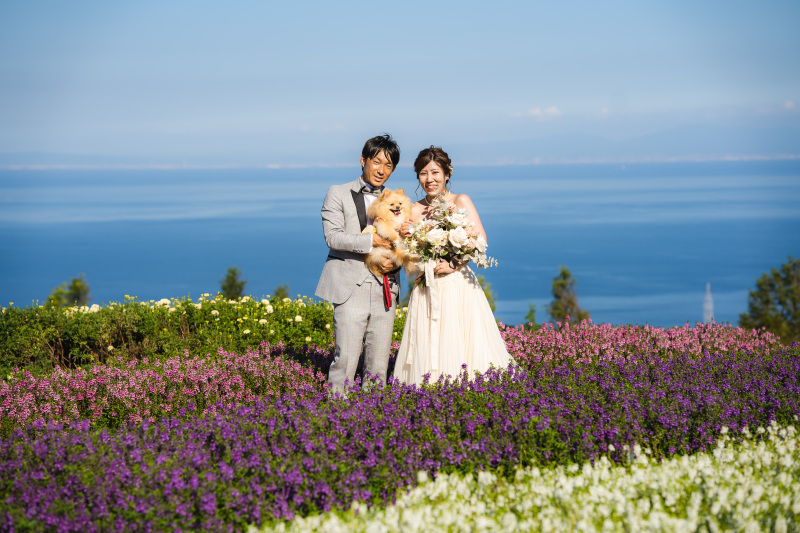 わんちゃんと一緒に!青空の下でロケーションフォト