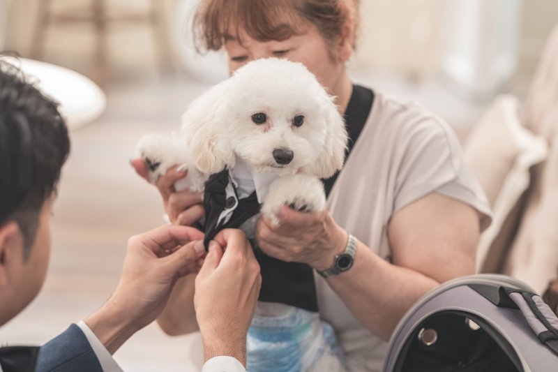 撮影の前に・・・