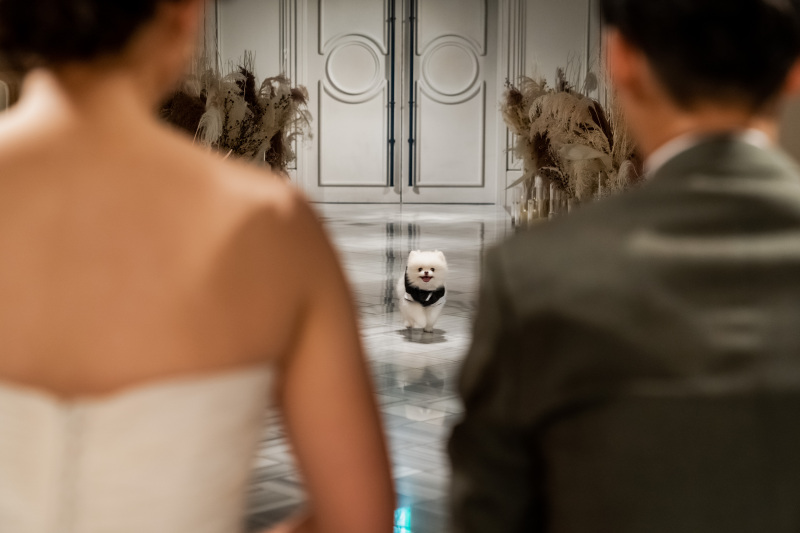 目線の先には...