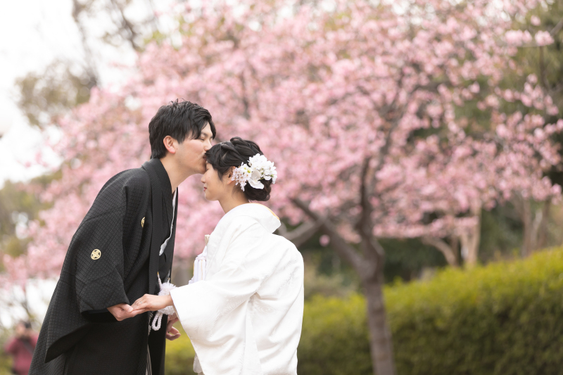 和装で梅の花ロケーション