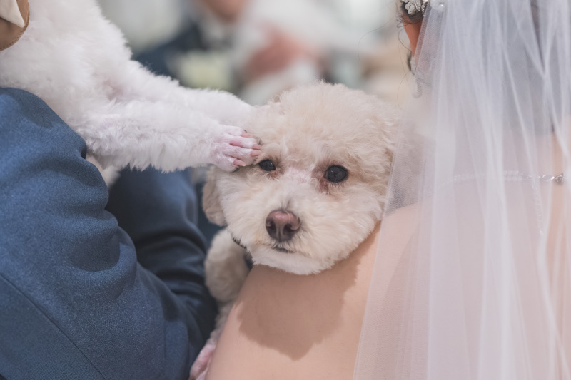 クスっと可愛いオフショット？！