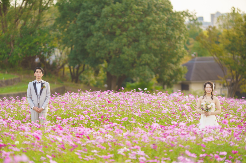 コスモス畑で♪