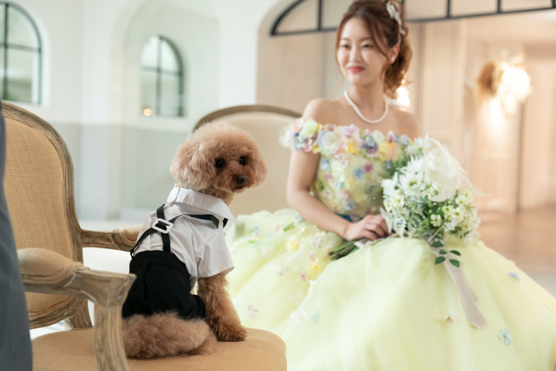 そぼろ君カット