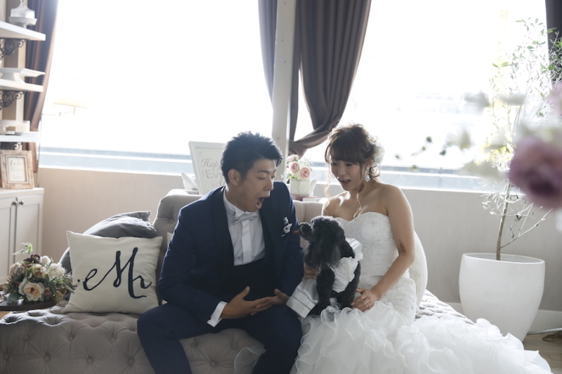 わんちゃん、ねこちゃんと一緒に♡【館内フォトプラン】